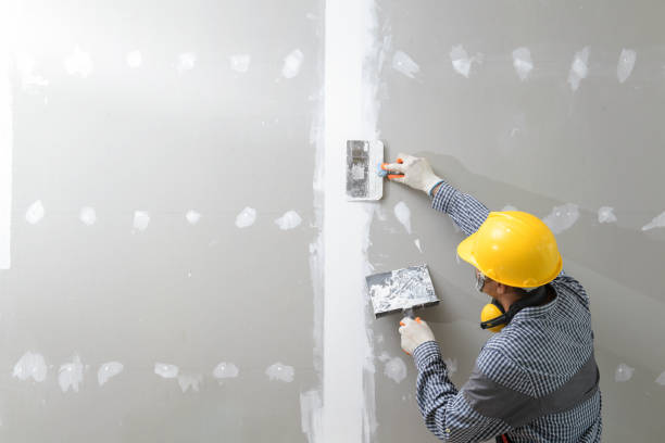 Best Drywall Removal and Disposal  in Cuba City, WI